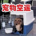 济南宠物空运